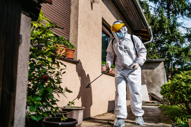 Best Ant Control Services  in Columbus Af, MS