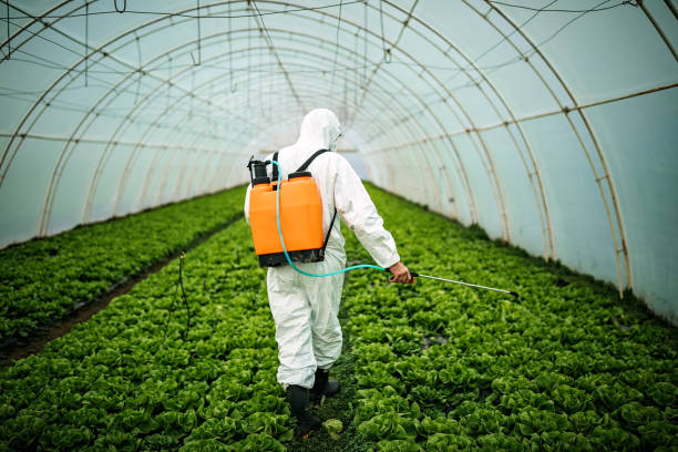Best Best Pest Control Companies  in Columbus Af, MS