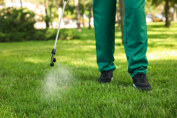 Best Affordable Pest Control Services  in Columbus Af, MS