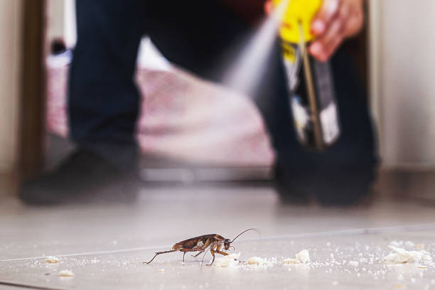 Best Best Pest Control Companies  in Columbus Af, MS